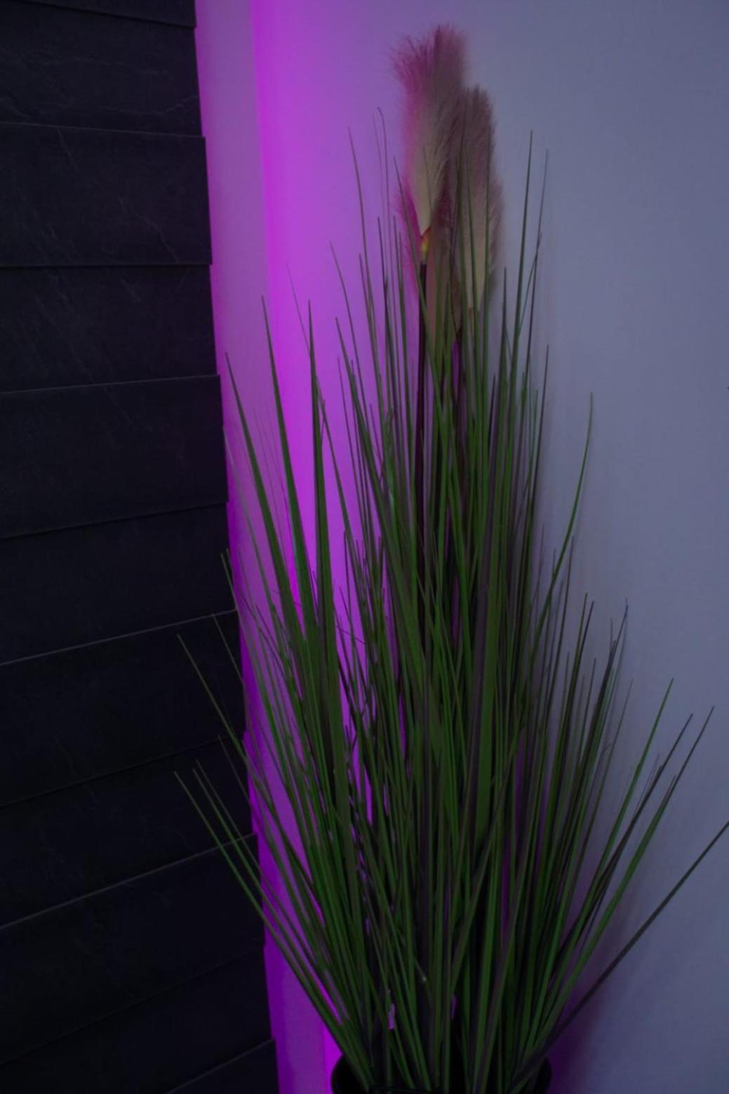 Apartman Mihovil Gospić Buitenkant foto